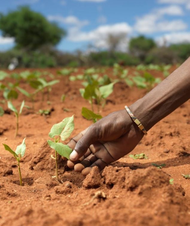 Tearfund: Photo - Peter Caton/Tearfund