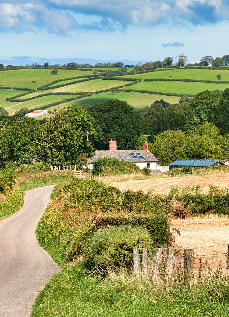 Devon Landscape