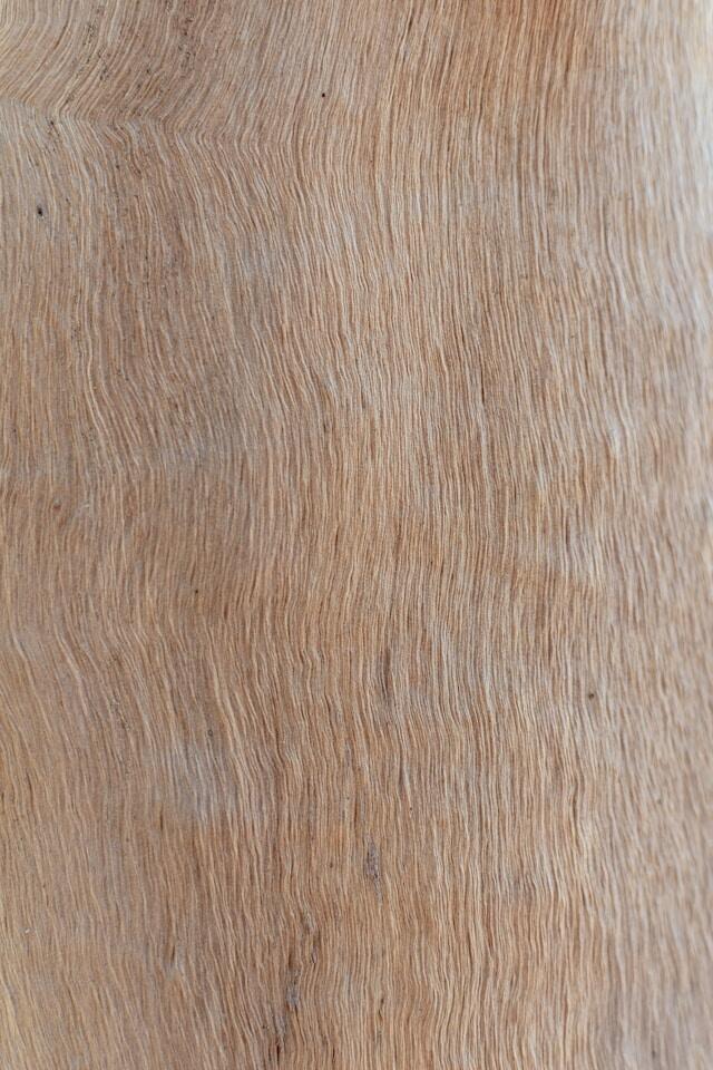 Wood texture