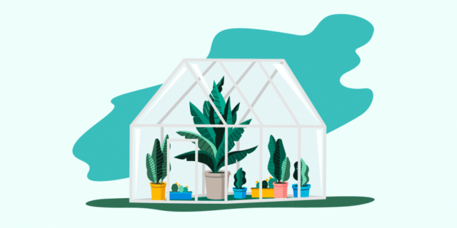 Plants in a greenhouse - fostering growth